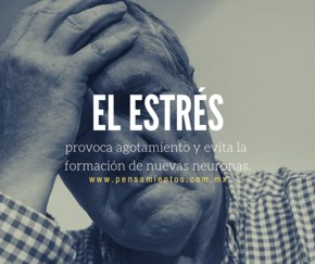 7 H�BITOS QUE MATAN A LAS NEURONAS