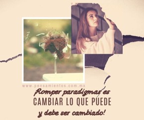 ¿Cómo nace un paradigma?