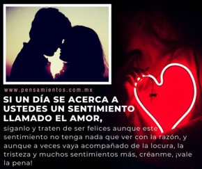 En busca de la razón...
