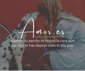 �Qu&eacute; significa amor?