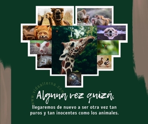 Reflexi&oacute;n