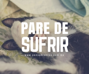 Sufrir, ¿por qué o para quién?